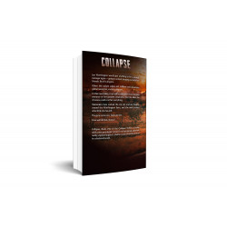 Collapse: Death of Friendship - Book 1 of the Collapse Series back cover with synapsis Author Signed Copy