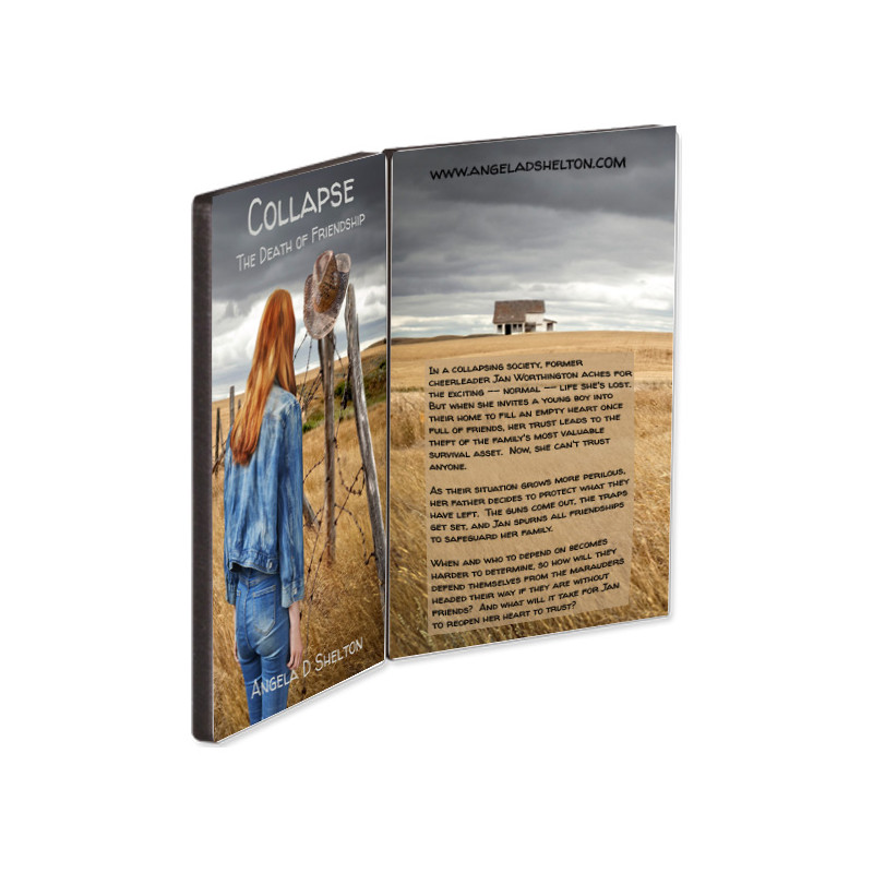 hinged display panel with author front and back book covers